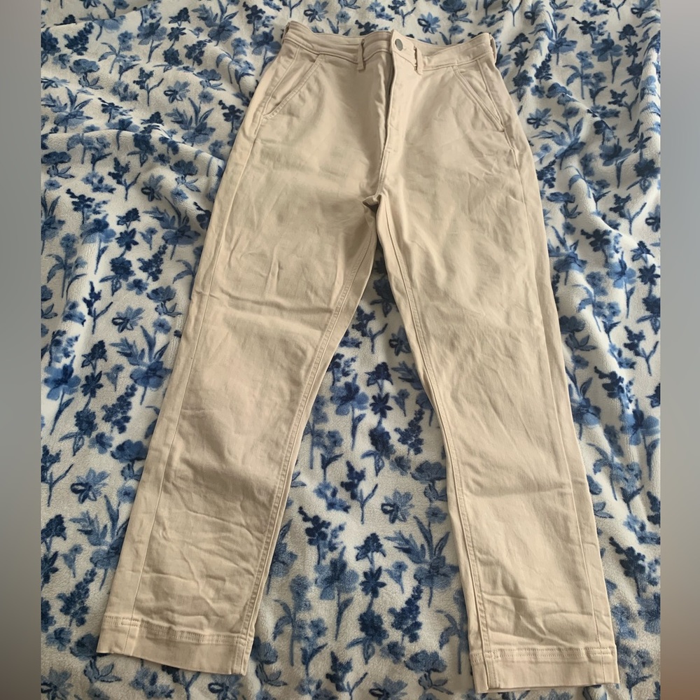 Everlane Slim Leg Crop Pants